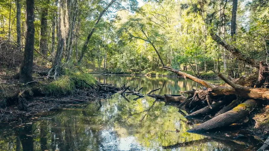 TBD Terrell's Bay Rd., Centenary, SC 29519 - Image #3