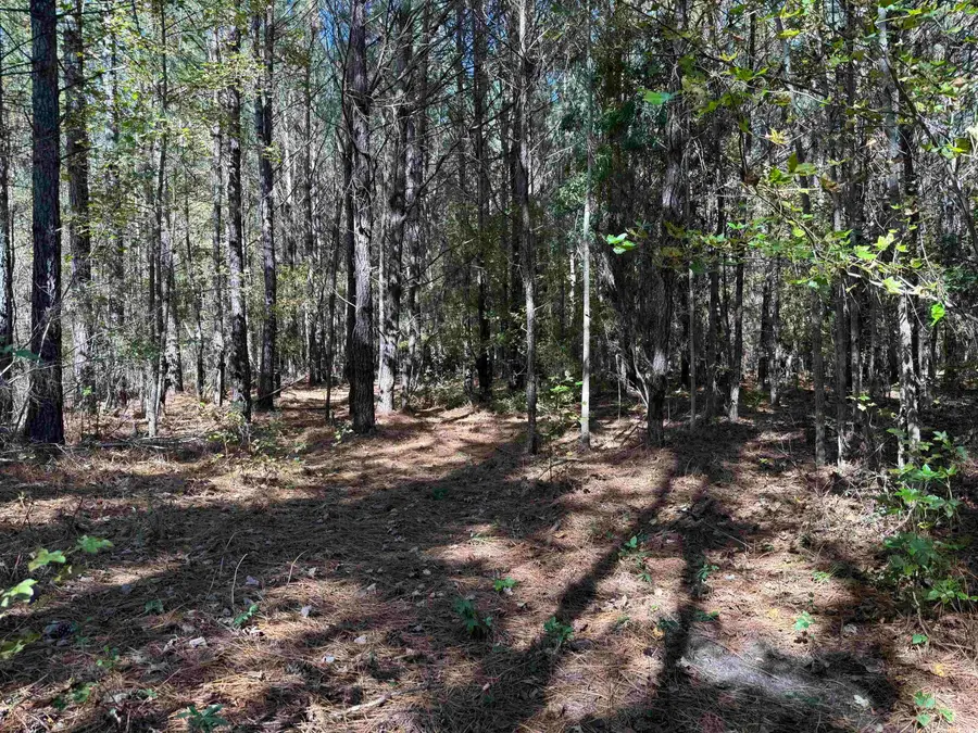 819 Quail Rd., Hemingway, SC 29554 - Image #2