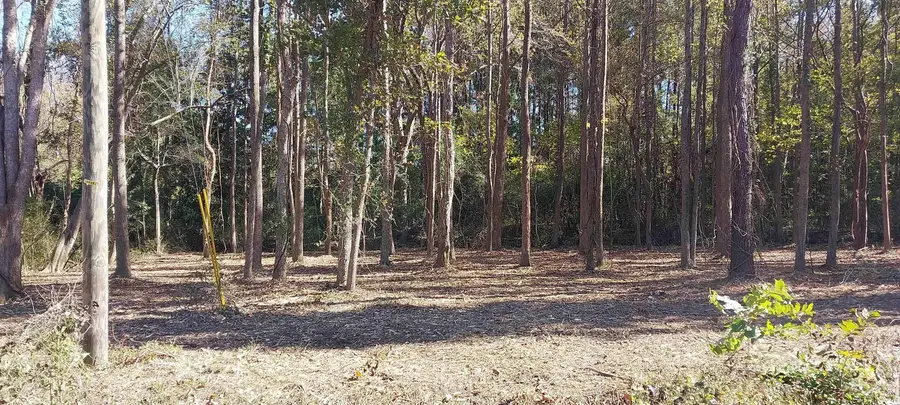 0 Millers Rd., Mullins, SC 29574 - Image #3