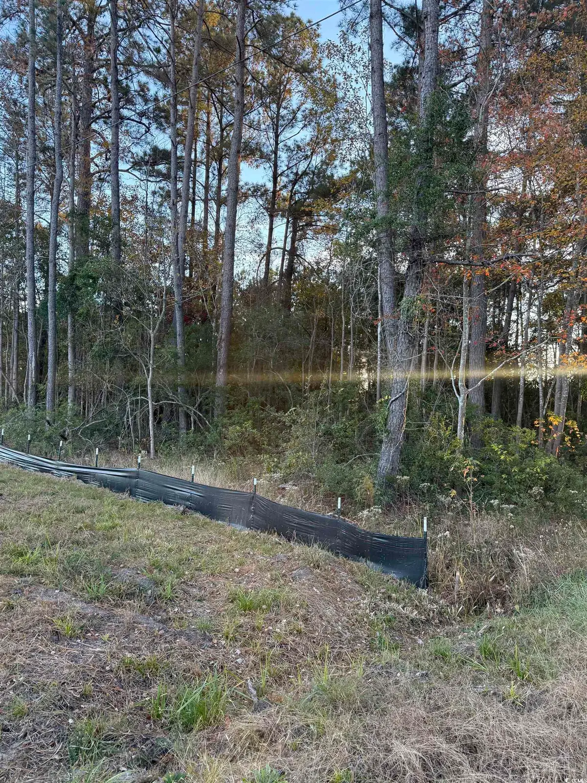 Lot 1 & 2 College Park Rd., Conway, SC 29527 - Image #1
