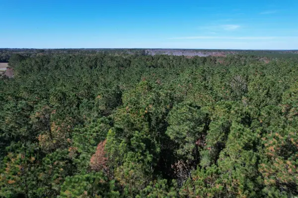 7.90 Acres-TBD Puncheon Creek Dr., Andrews, SC 29510