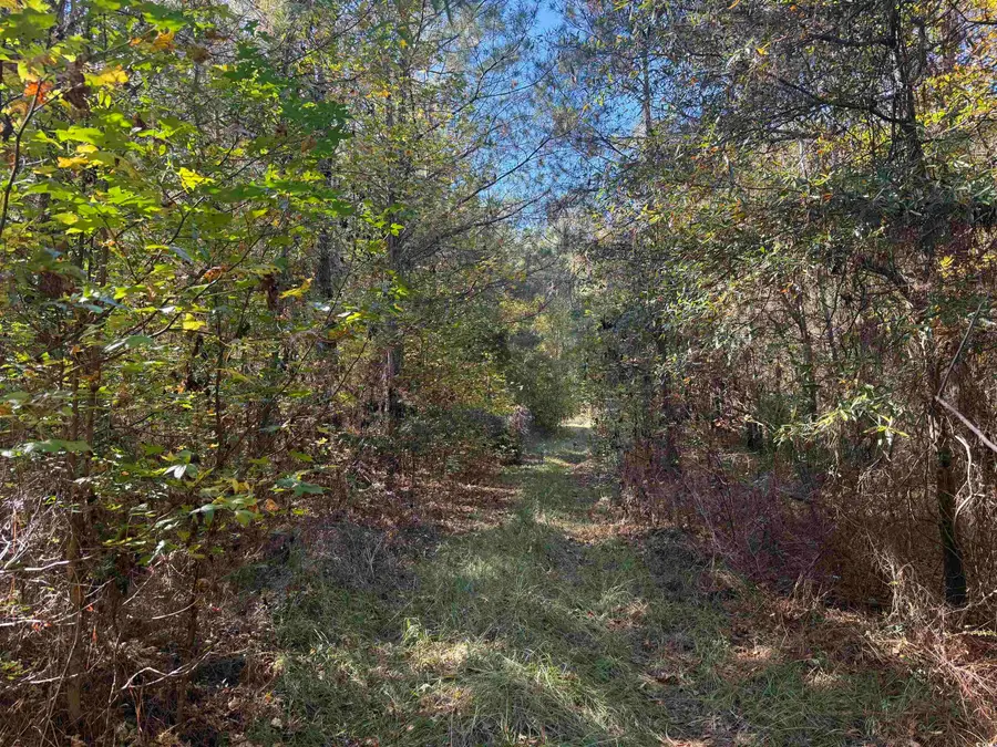 793 Puncheon Creek Dr., Andrews, SC 29510 - #2