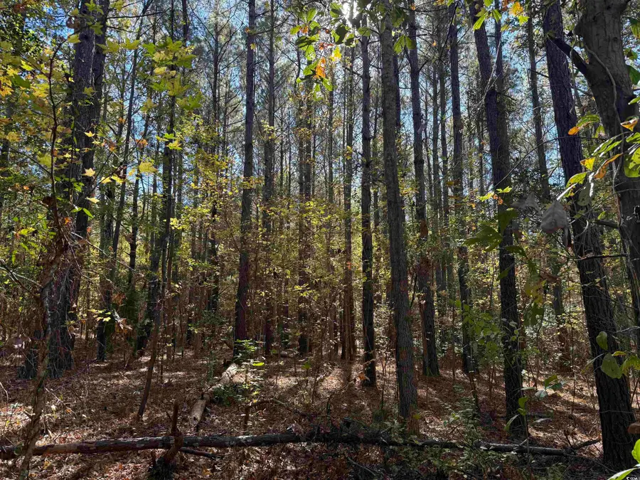 793 Puncheon Creek Dr., Andrews, SC 29510 - #3