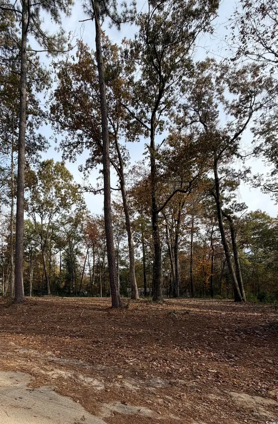 282 Pineneedle Circle, Johnsonville, SC 29555 - Image #2