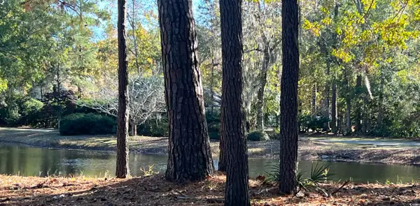 TBD Green Wing Teal Ln., Pawleys Island, SC 29585