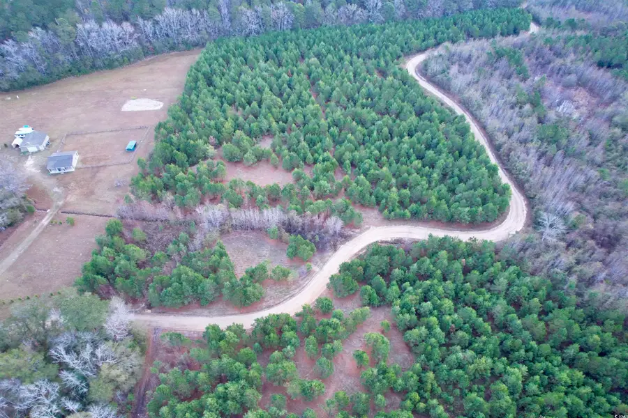 Lot 2 - TBD New Pine Rd., Johnsonville, SC 29555 - Image #3