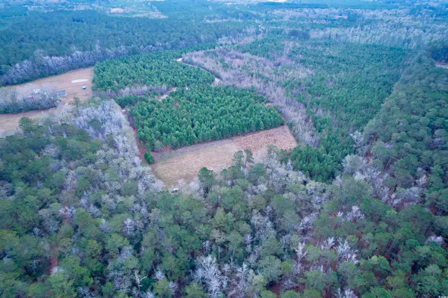 Lot 1 - TBD New Pine Rd., Johnsonville, SC 29555 - Image #2