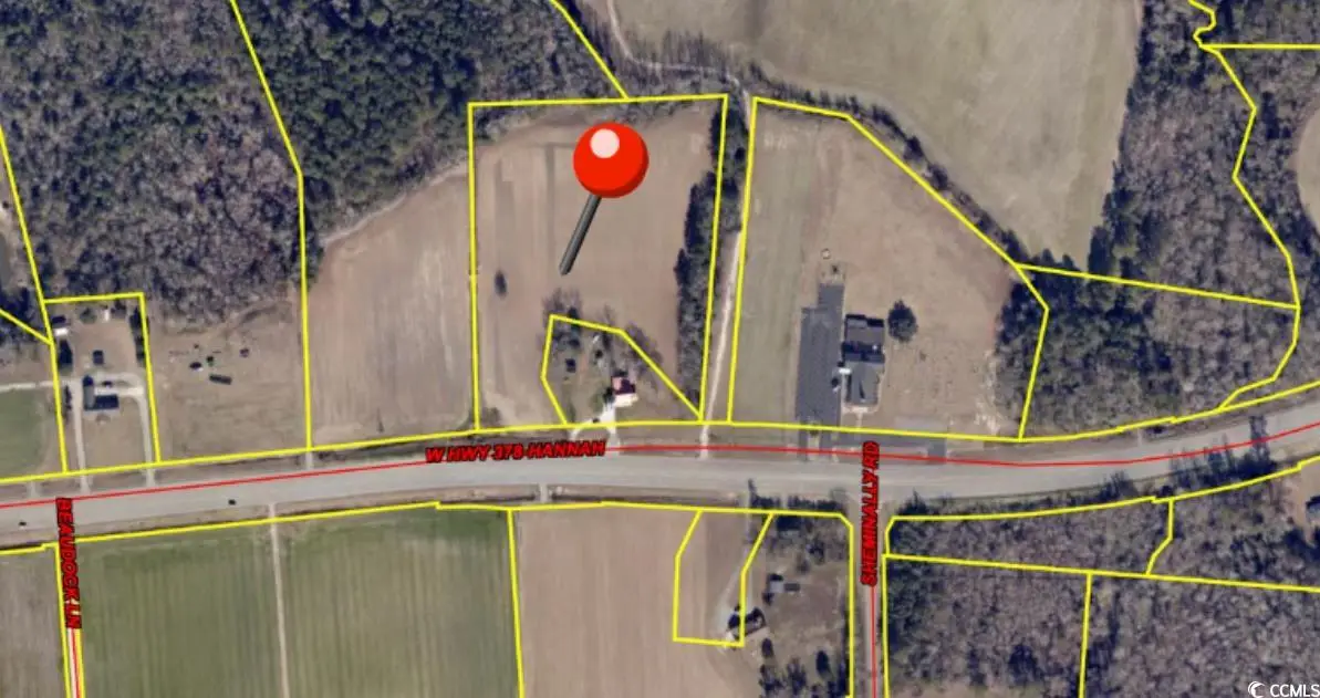 Lot 2 W Highway 378, Pamplico, SC 29583 - Image #1