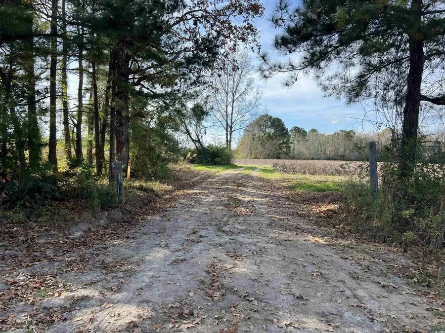 Easler Hwy, Greeleyville, SC 29056 - Image #3