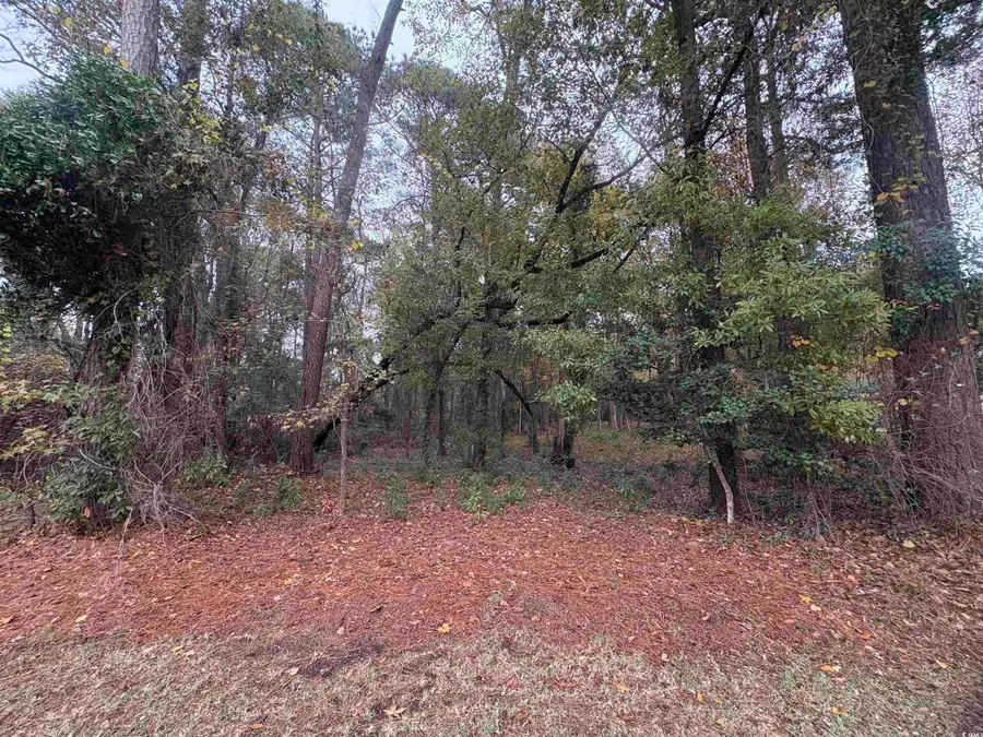 Lot 34 Old Augusta Dr., Pawleys Island, SC 29585 - Image #3
