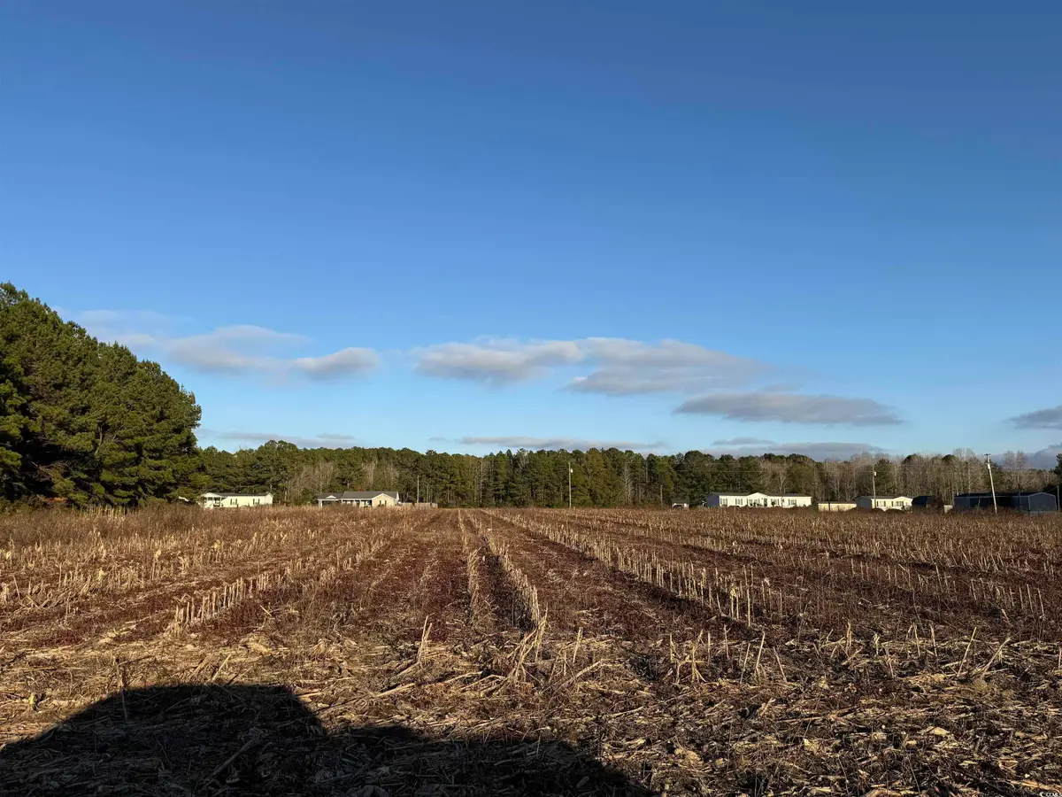 TBD Thomas Dr., Kingstree, SC 29556 - Image #1