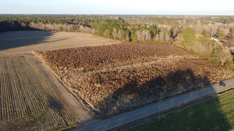 5441 Carolina Rd., Green Sea, SC 29545 - Image #2