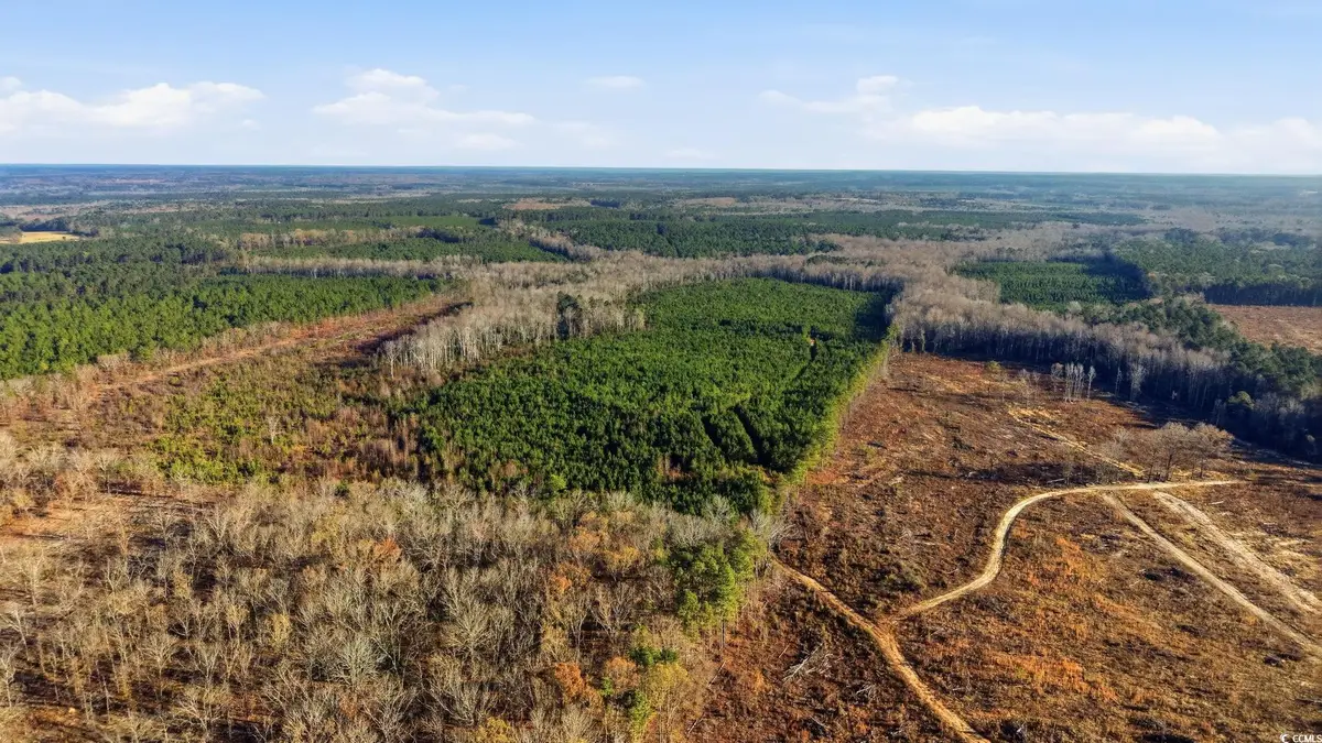 TBD Highway 34, Bishopville, SC 29010 - Image #1