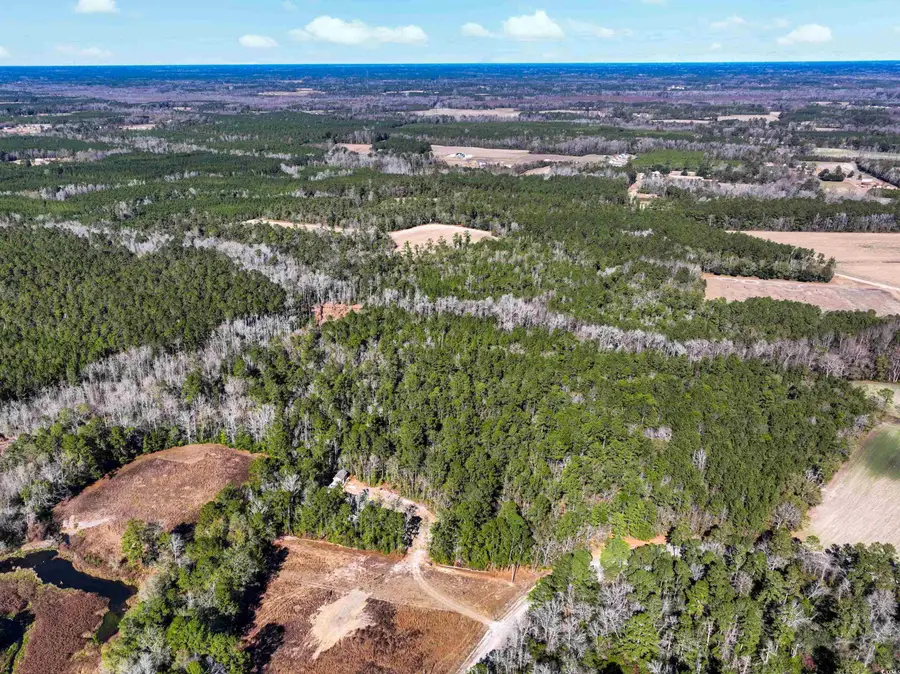 TBD Sand Hill Bay Rd., Loris, SC 29569 - Image #3