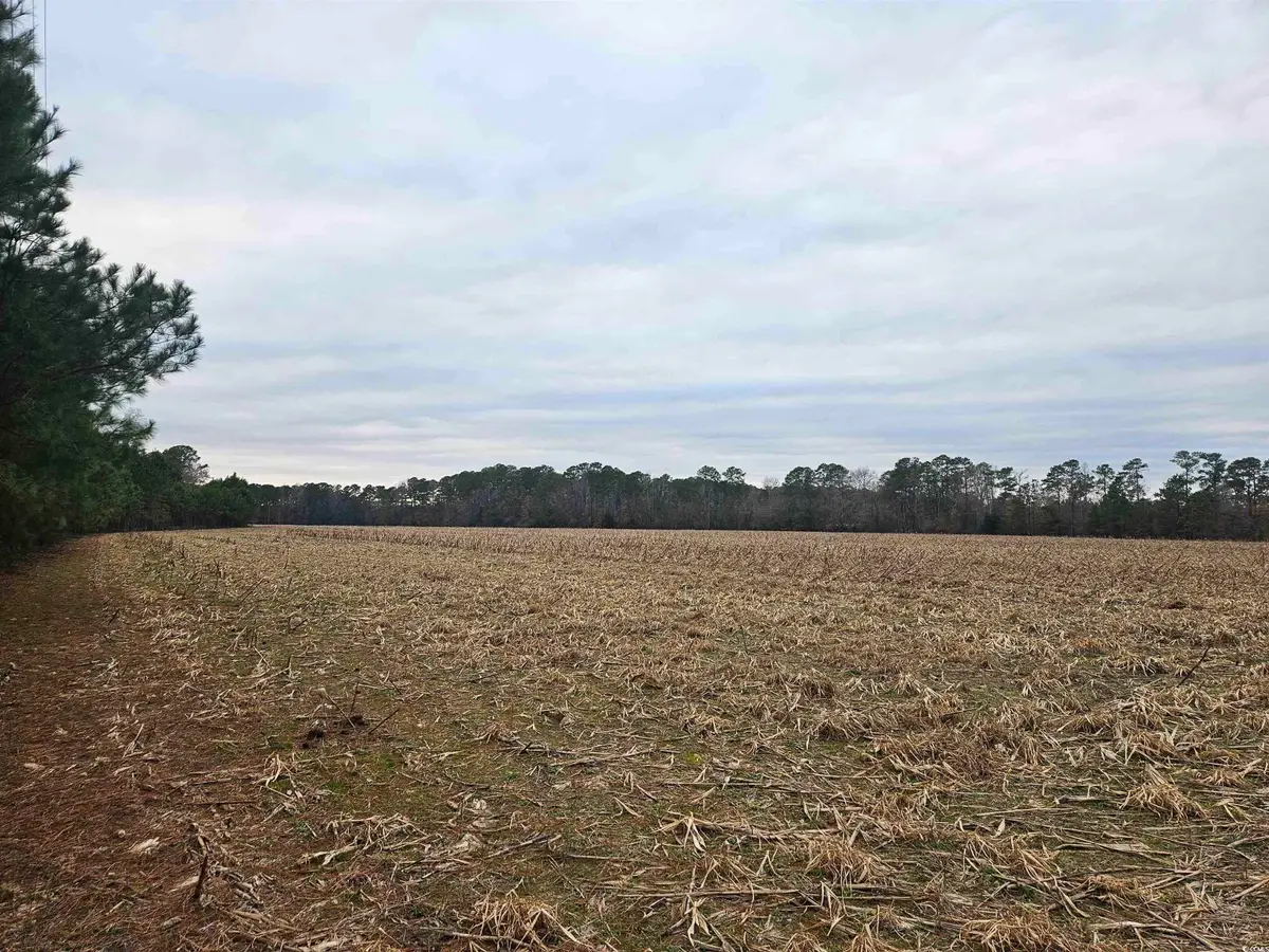 TBD 38ac Cart Rd., Pamplico, SC 29583 - Image #1