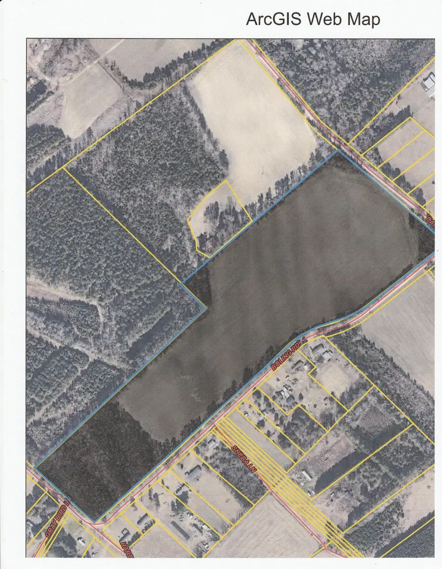 TBD 38ac Cart Rd., Pamplico, SC 29583 - Image #3