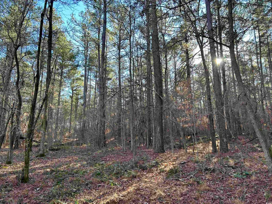 Duckwood Rd., Lancaster, SC 29720 - Image #2