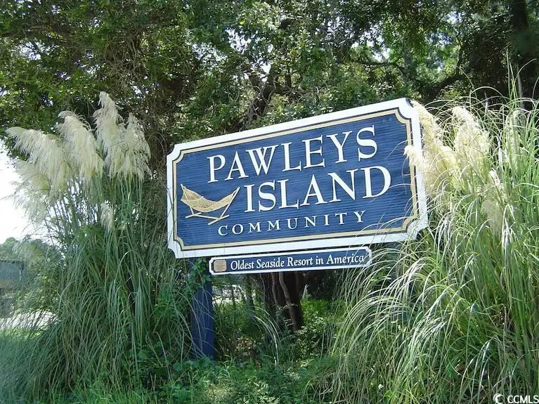 83 Seapine Dr., Pawleys Island, SC 29585 - #2