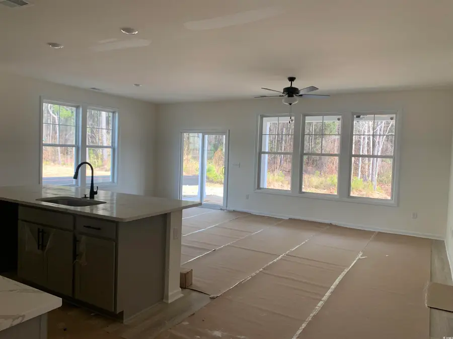 252 Palmetto Sand Loop, Conway, SC 29527 - Image #2