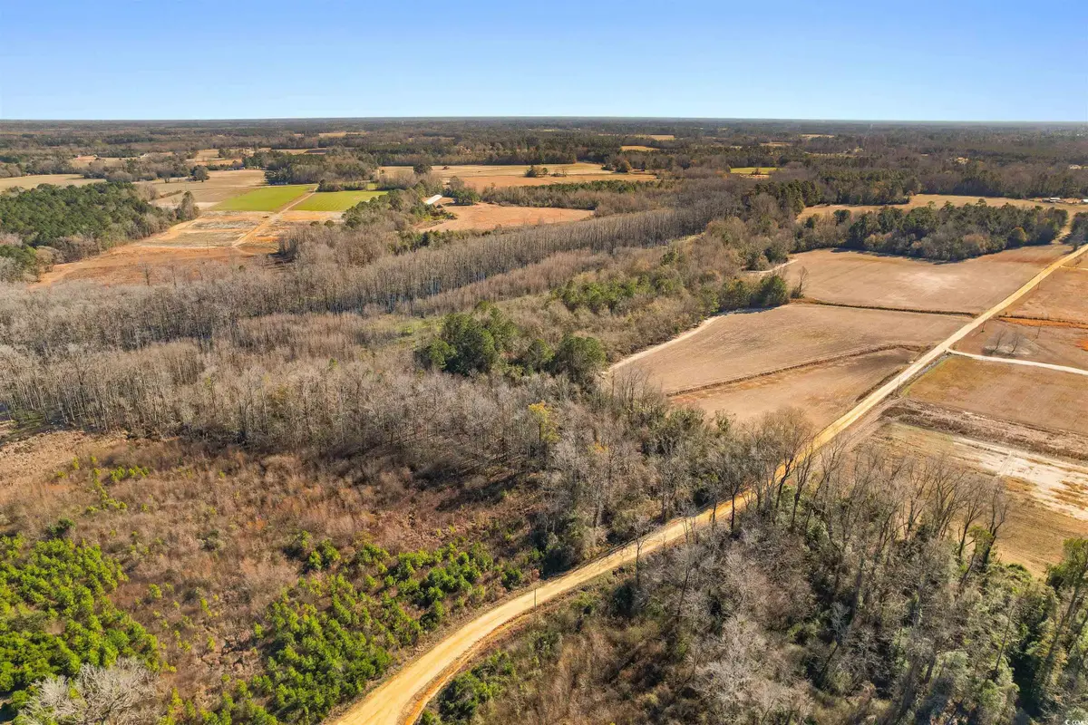 TBD Elista Rd., Mullins, SC 29574 - Image #1