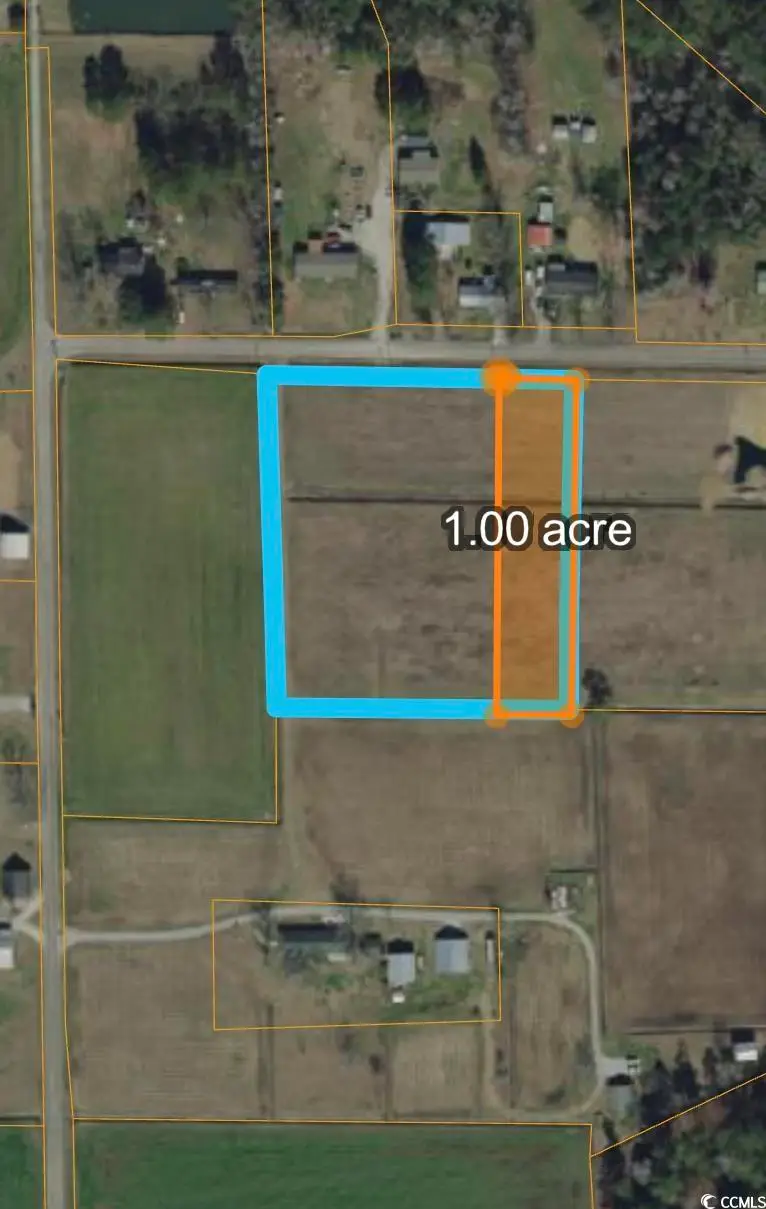 TBD Loop Rd., Loris, SC 29569 - Image #2