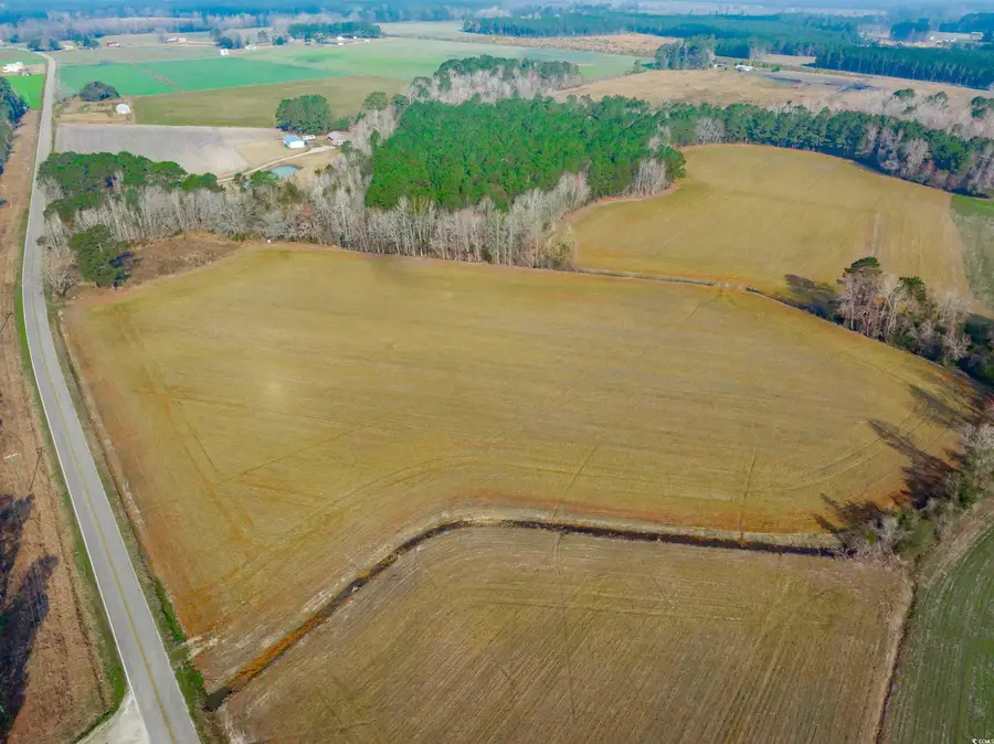 4705 Carolina Rd., Green Sea, SC 29545 - Image #2