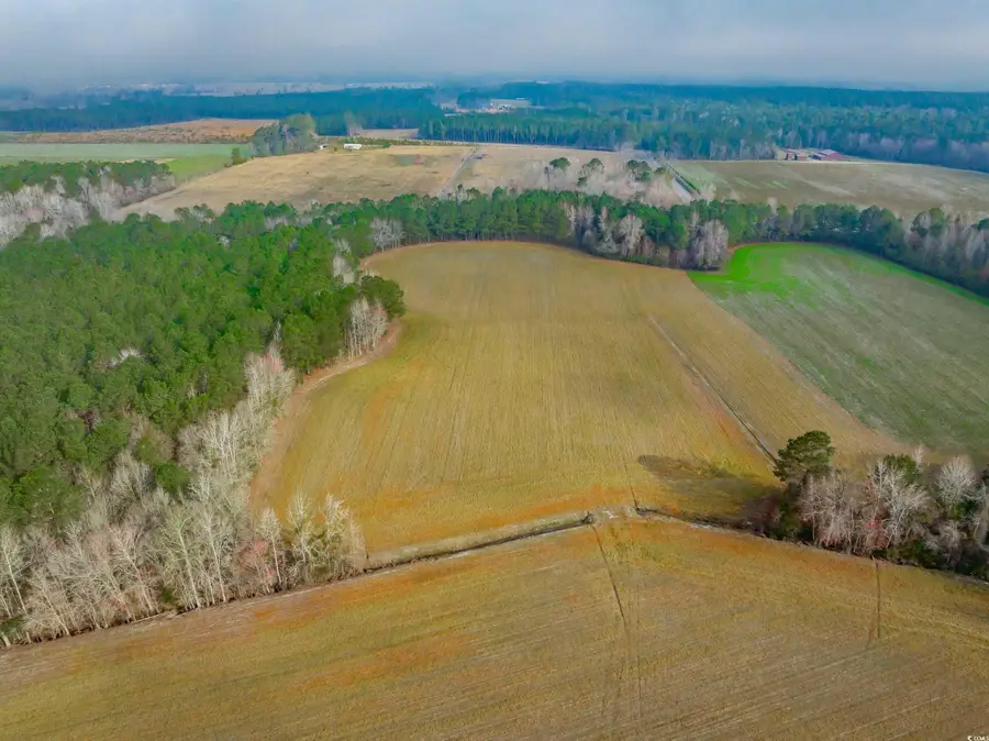 4705 Carolina Rd., Green Sea, SC 29545 - Image #3
