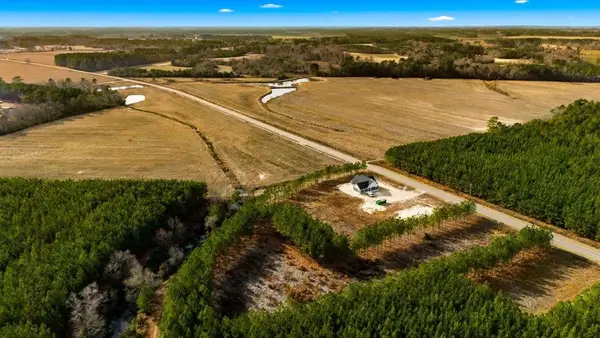 Acreage Highway 45, Loris, SC 29569