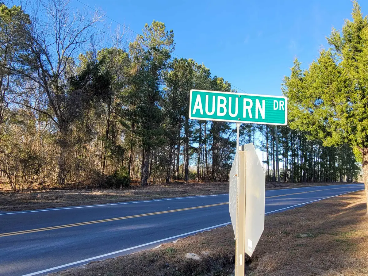 TBD lot 3 Auburn Rd., Loris, SC 29569 - Image #1