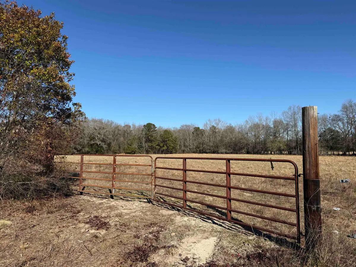 10686 Scott Ave, Manning, SC 29102 - Image #1