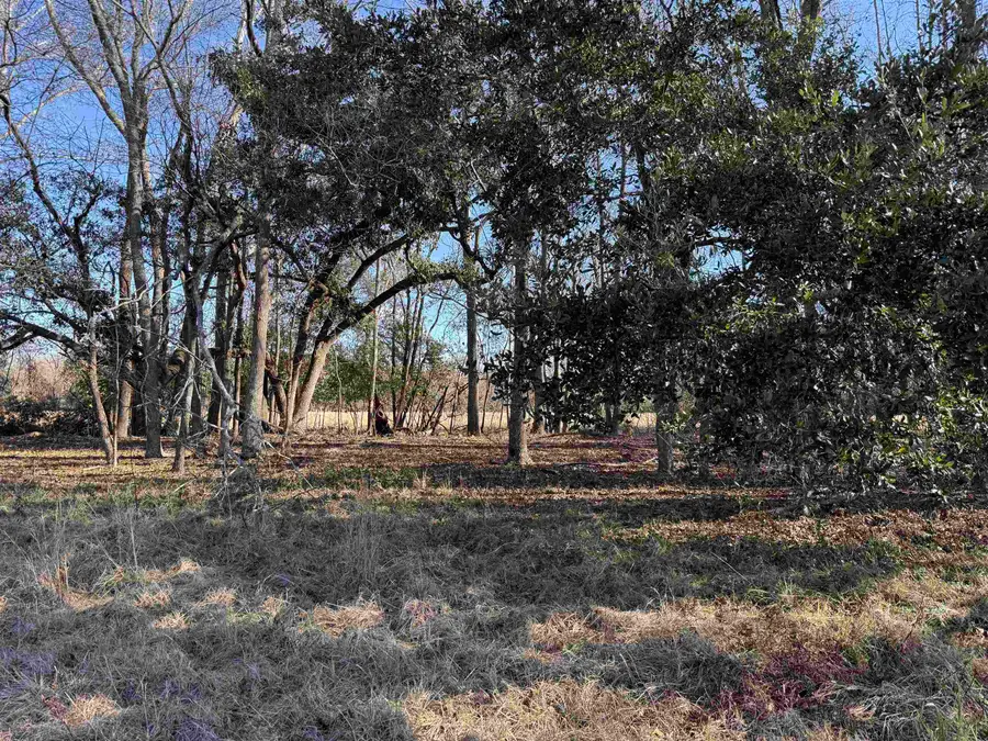 10686 Scott Ave, Manning, SC 29102 - Image #2