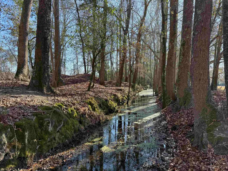 10686 Scott Ave, Manning, SC 29102 - Image #3