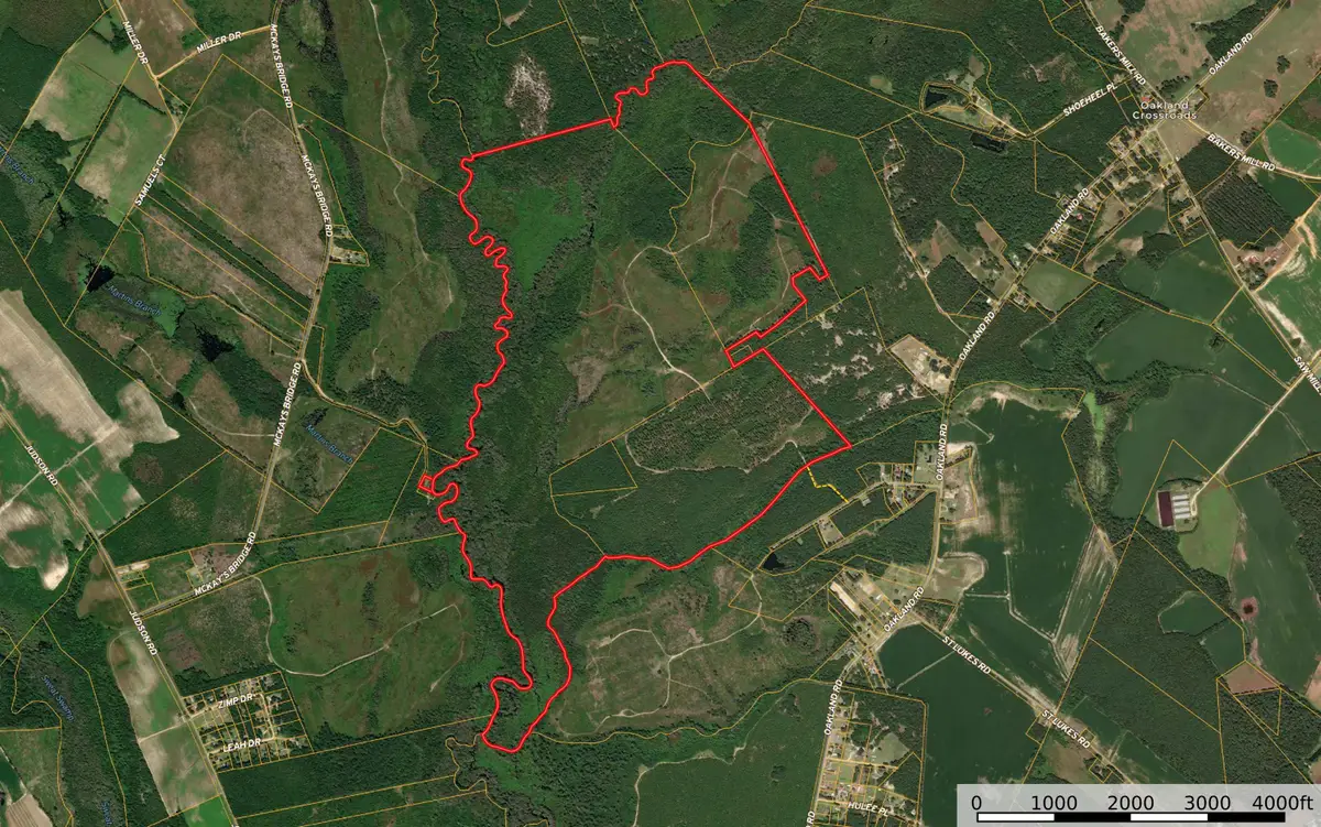 0 Gully Branch Rd., Dillon, SC 29536 - Image #1