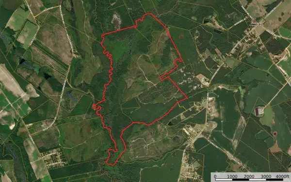 0 Gully Branch Rd., Dillon, SC 29536