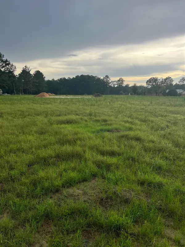 TBD Lexyryan Ct., Latta, SC 29565