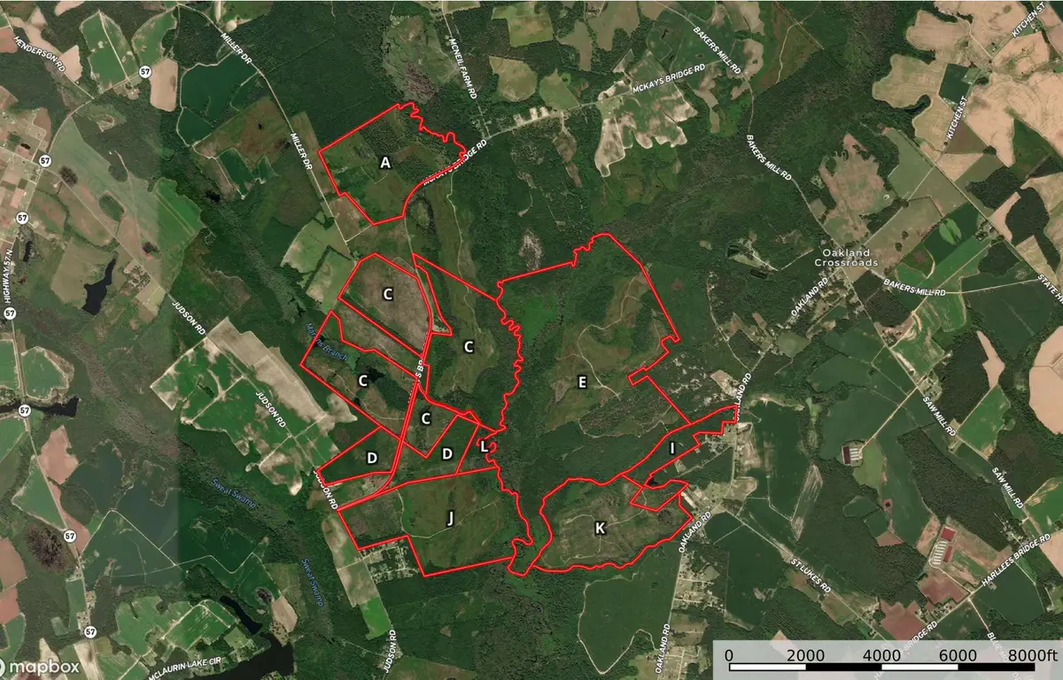 0 Mckays Bridge Rd., Dillon, SC 29536 - Image #1