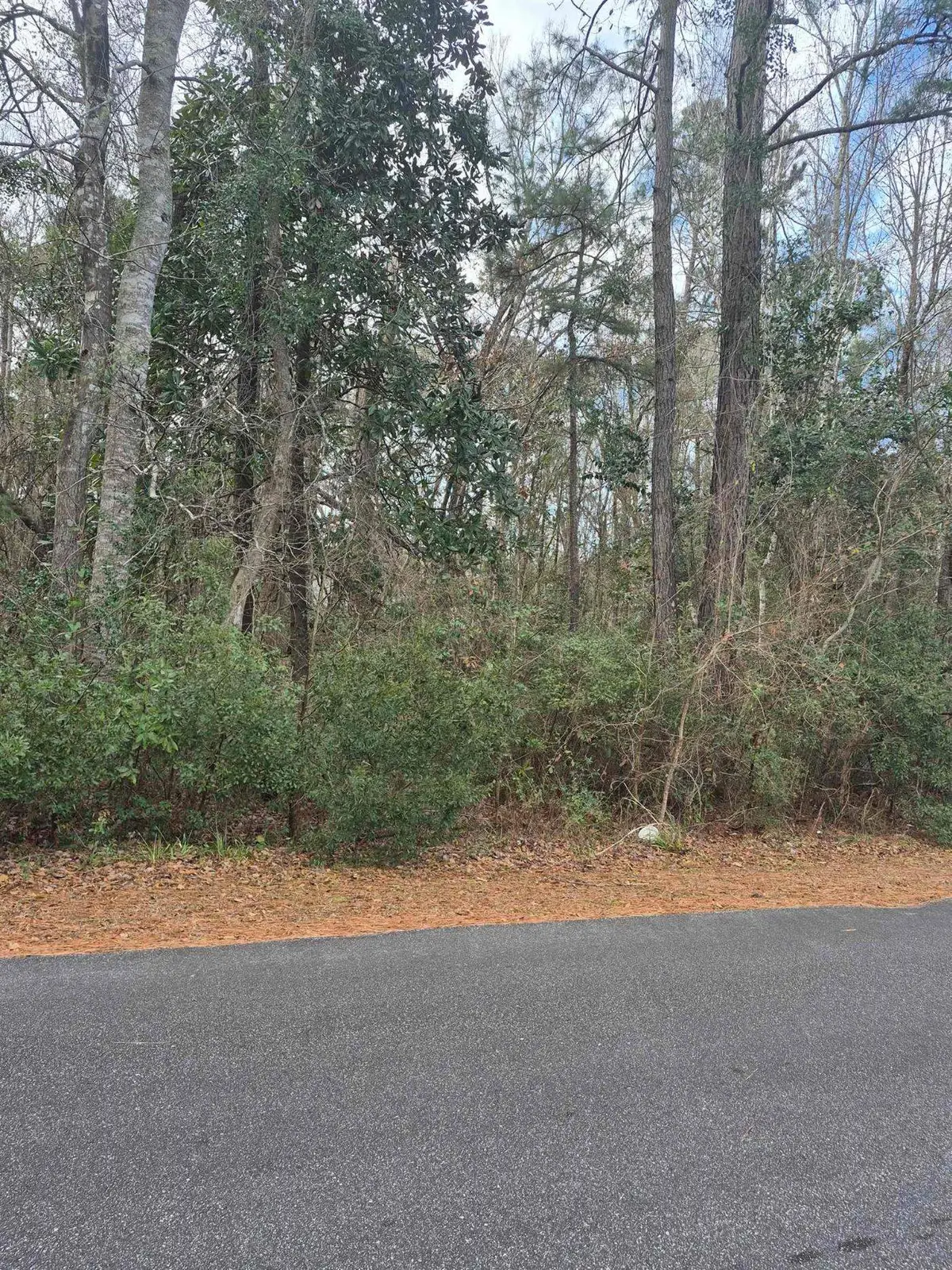 Lot 3 Third Ave., Georgetown, SC 29440 - Image #1