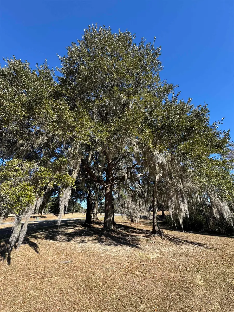 437 Rosebank Rd., Georgetown, SC 29440 - Image #3