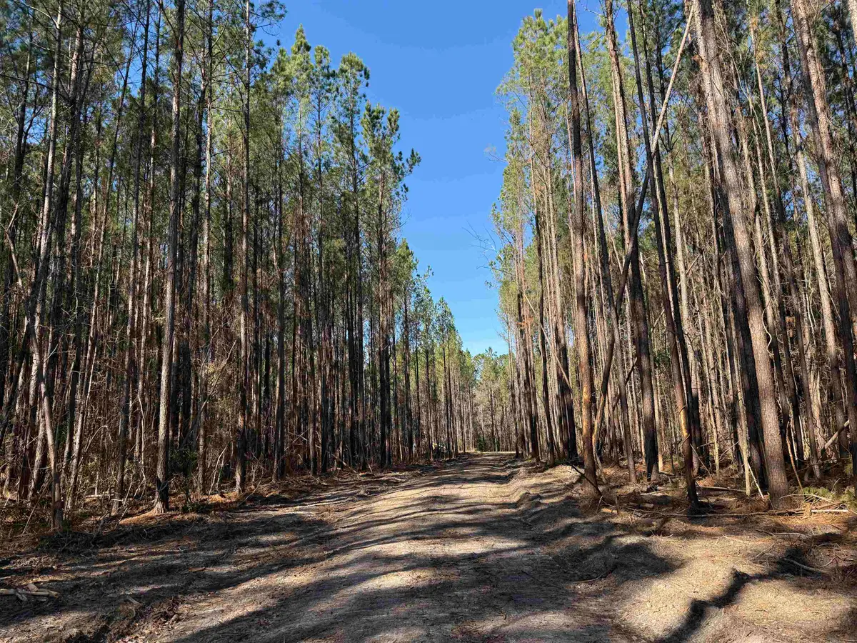 31.40 Acres-TBD Pennyroyal Rd., Georgetown, SC 29440 - Image #1