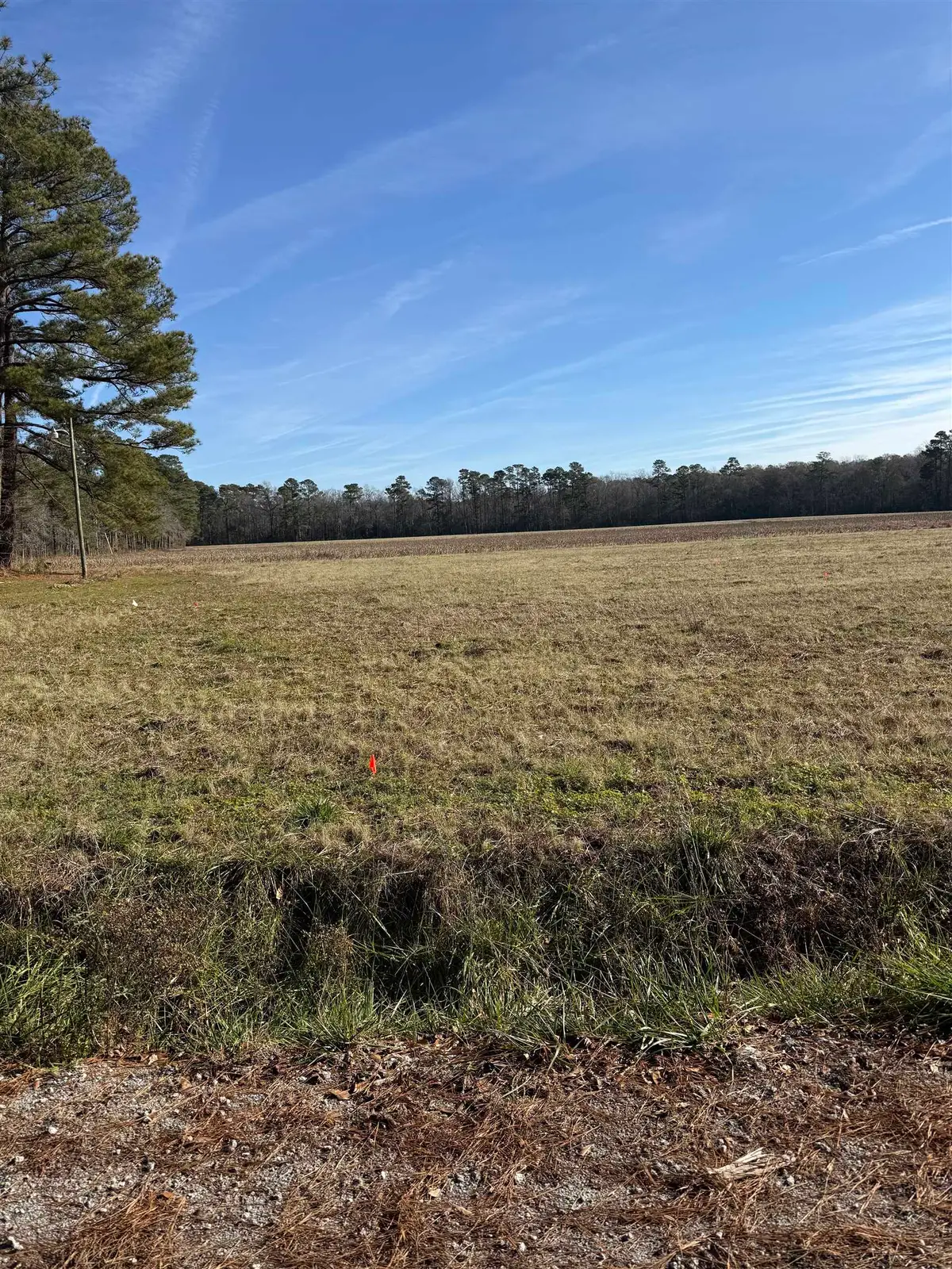 Lot 5 Johnson Shelley Rd., Conway, SC 29526 - Image #1