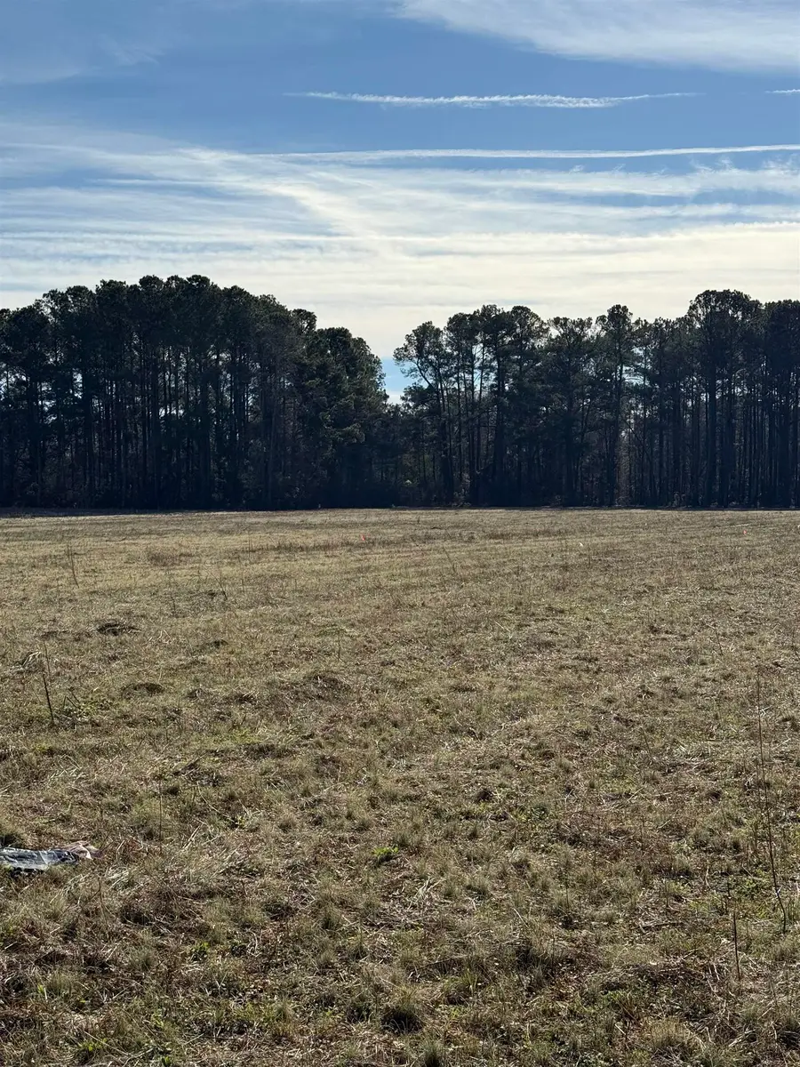 Lot 9 Johnson Shelley Rd., Conway, SC 29526 - Image #3
