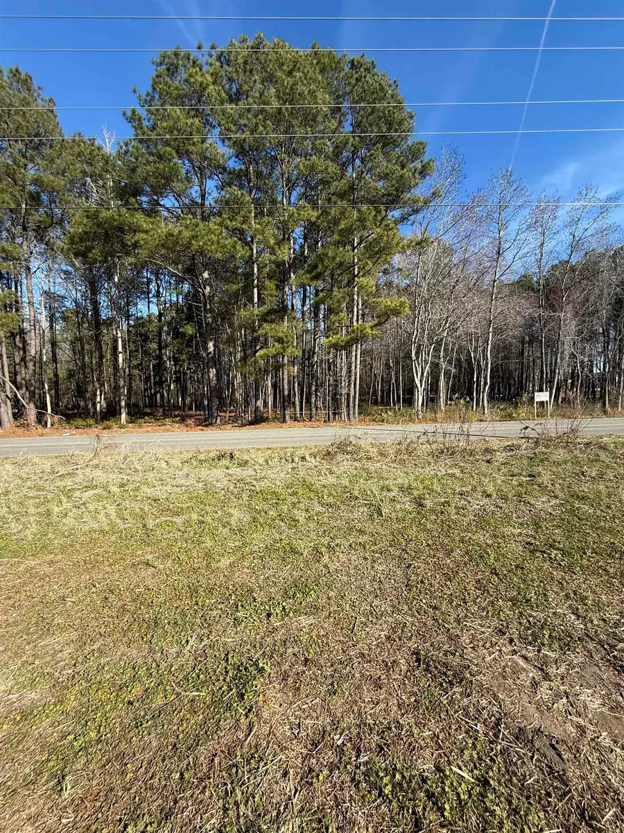 Tract 3 Highway 668, Conway, SC 29526 - Image #3