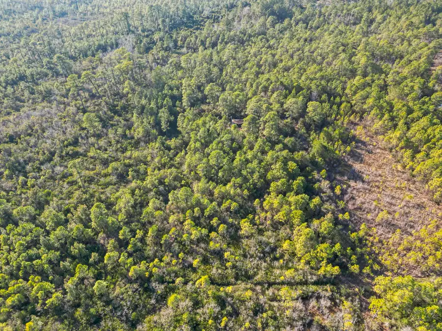 TBD Sugar Bowl Ln., Longs, SC 29568 - Image #2