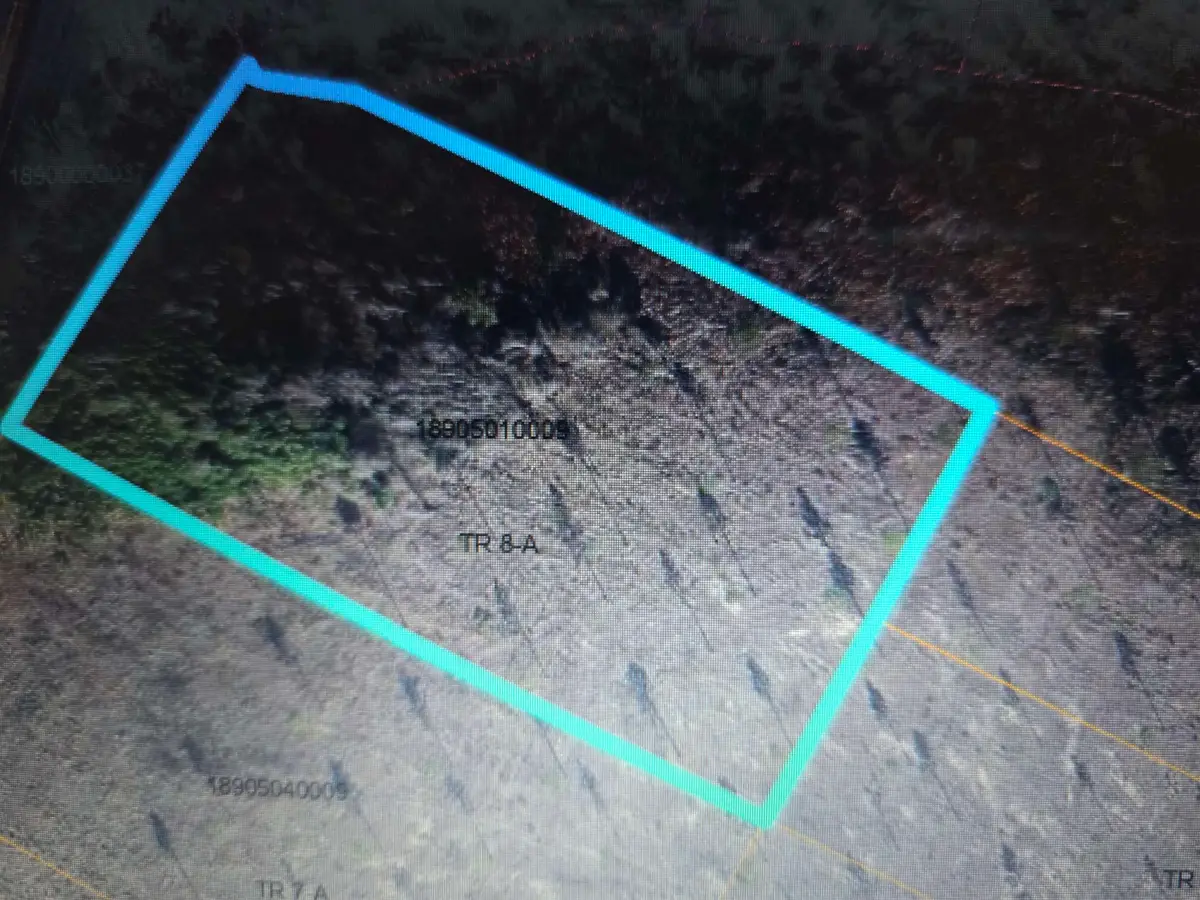 TBD Mincey Dr., Loris, SC 29569 - Image #1