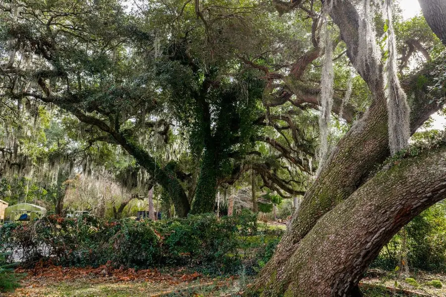 10670 Ocean Hwy., Pawleys Island, SC 29585 - Image #3