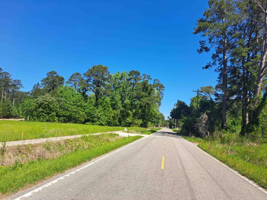 TBD Lot A Bucksport Rd., Conway, SC 29527 - #2