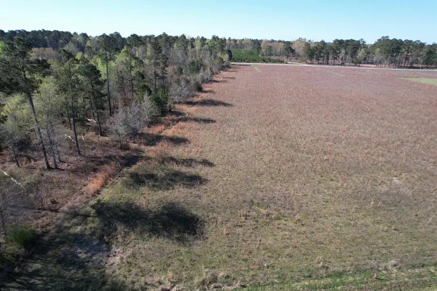 Lot 34-TBD Gulley Ln., Salters, SC 29590 - Image #3