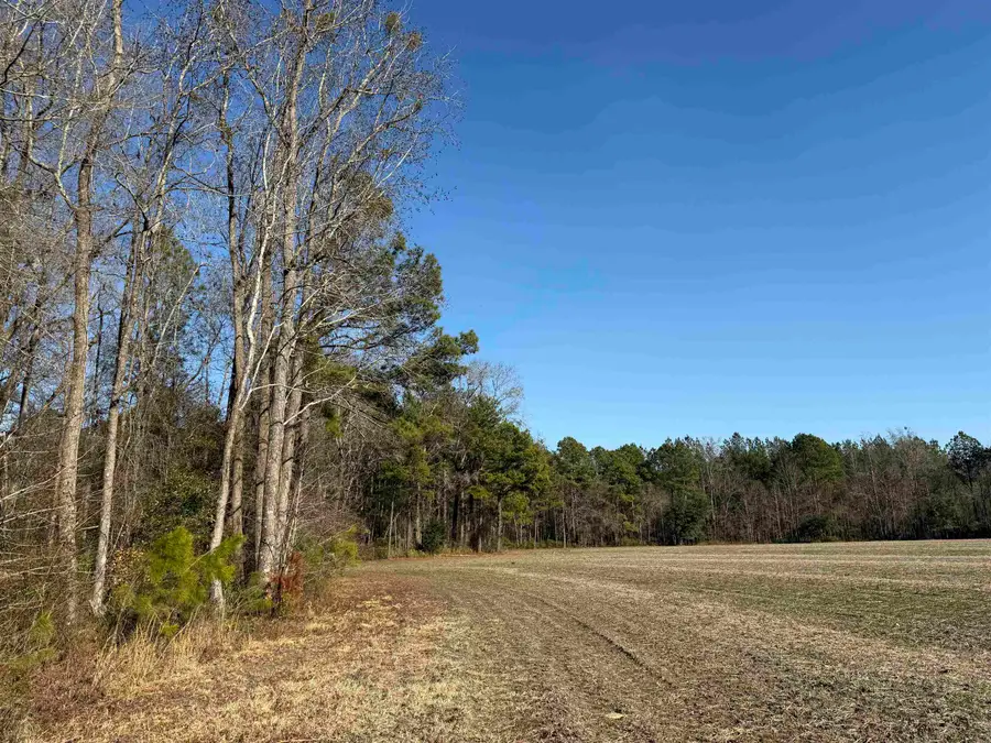 23.30 Acres-TBD Dainty Ave, Kingstree, SC 29556 - #3