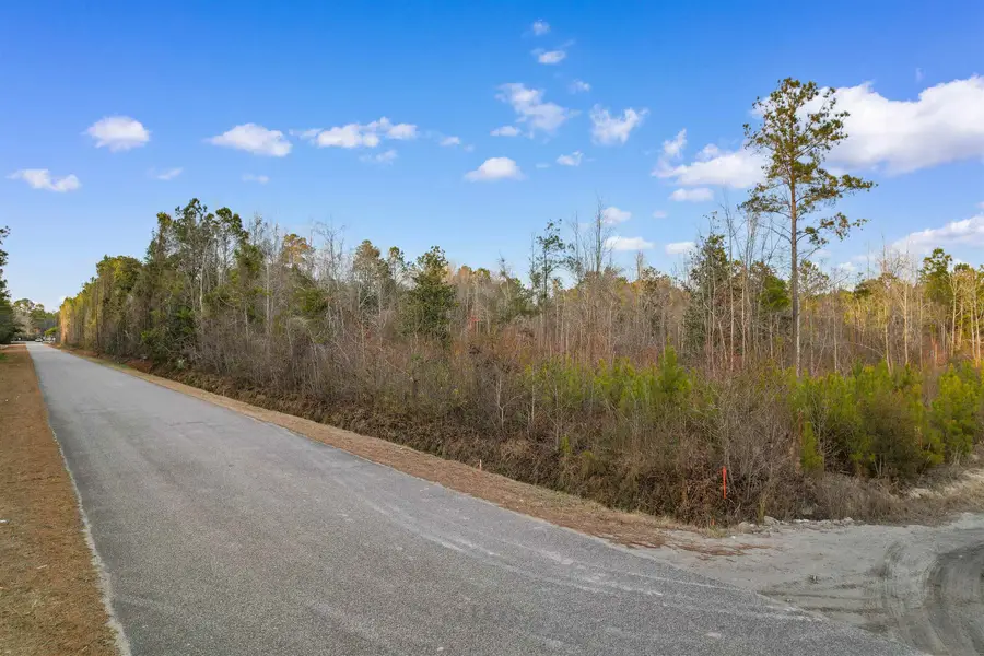TBD Fowler School Rd., Green Sea, SC 29545 - #2