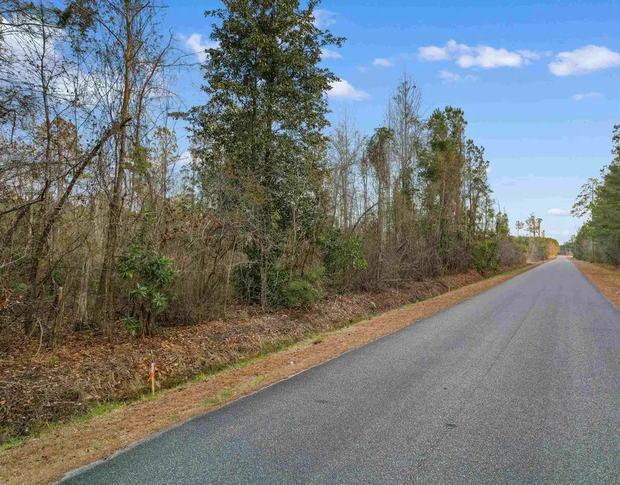 TBD Fowler School Rd., Green Sea, SC 29545 - #3